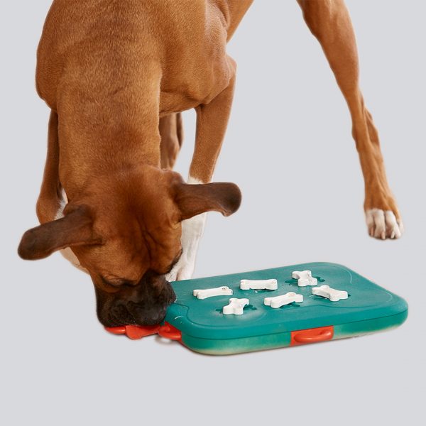 Juguete entrenamiento perro